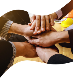 Trusted Industry Expertise